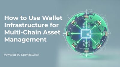 OpenXSwitch blog How to use wallet infra multi chain asset