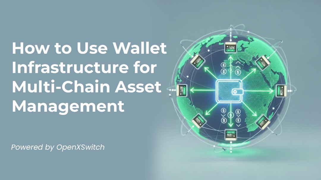 OpenXSwitch blog How to use wallet infra multi chain asset