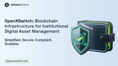 intro to openxswitch blockchain wallet infra